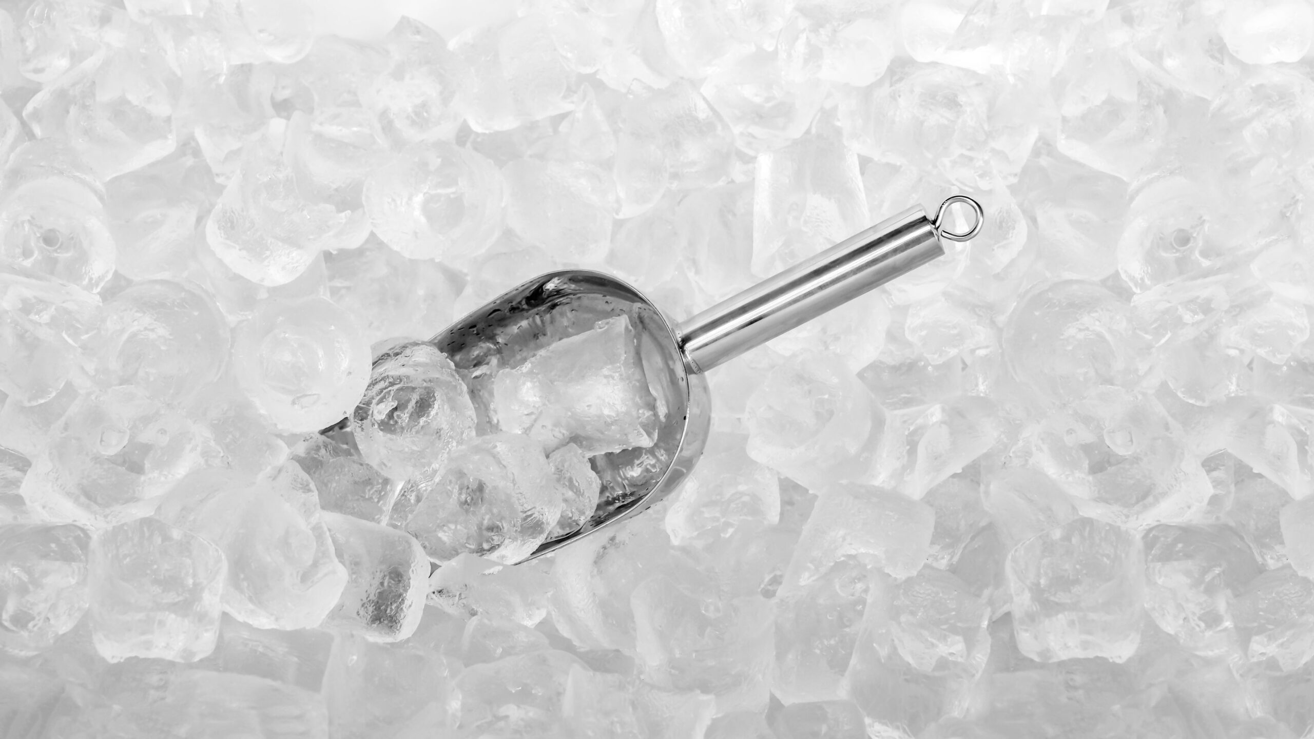Stainless steel ice scoop
