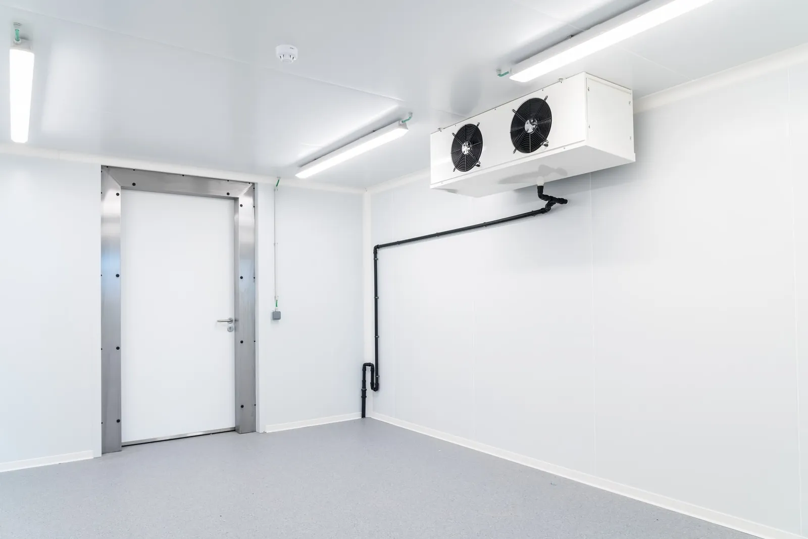 Commercial walk-in freezer door and evaporator